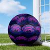 Munich FC Artwork Printed Size 5 Soccer Balls, High-Quality, Anti-Slip, Protective Football, A Unique Gift , Birthdays, Christmas Gifts