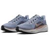Nike Air Zoom Pegasus 41 Ashen Slate Metallic Red Bronze Women Sneakers Blue Armory-Navy Black FD2723-403