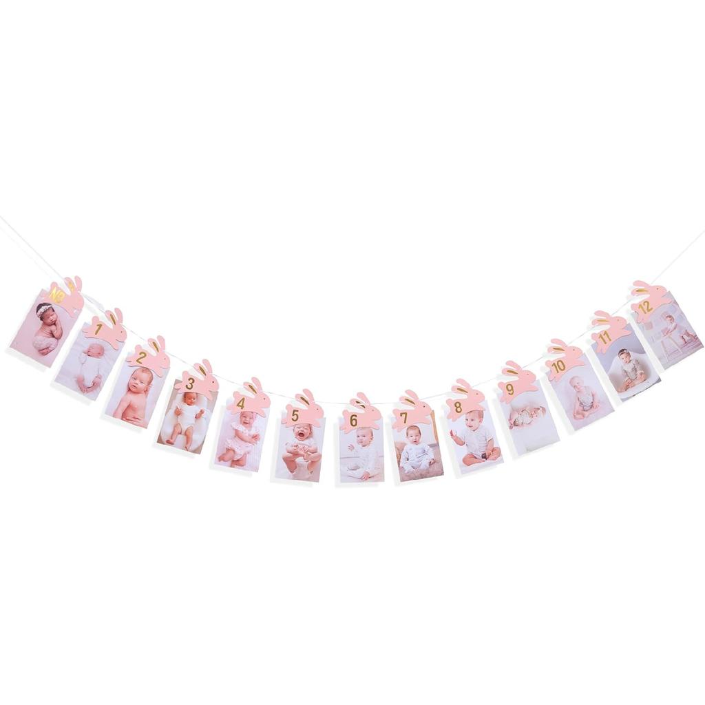 Bunny 1st Birthday Monthly Milestone Photo Banner - Some Bunny Is One Newbron To 12 Months Photo Banner for Grils, Easter 1st Birthday Decorations,