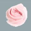 Used Popular Item: UV Cut, Cooling, Cold Protection, Muffler, Shawl, Thin, Simple, Plain, Scarf, Large Size 110*180cm, Stole, 100% Silk, Amore All 23