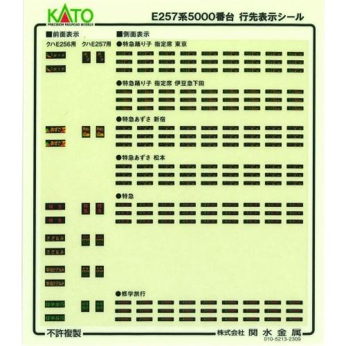 KATO N Gauge E257 Series 5000 Series 9-Car Set 10-1883 Model Train