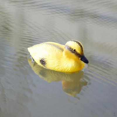 4x Hochplastische Kleine Entenjagd Lockente Dekor