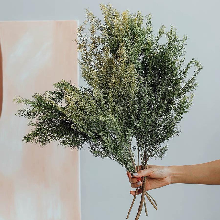 Wabi-sabi Dried Flower Arrangement: Reed, Pine Cones, Cotton, Wheat, Poppy Bouquet