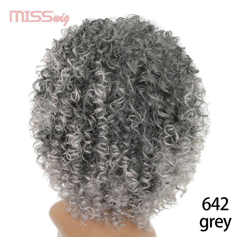 

XINRAN 16 дюймов длинные афро странные вьющиеся парики для женщин синтетические парики африканская прическа термостойкий парик из волокна 642-grey