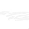 2 Pieces Car Stickers Decals Hood Stylish Accessories Easy to Install Decor for