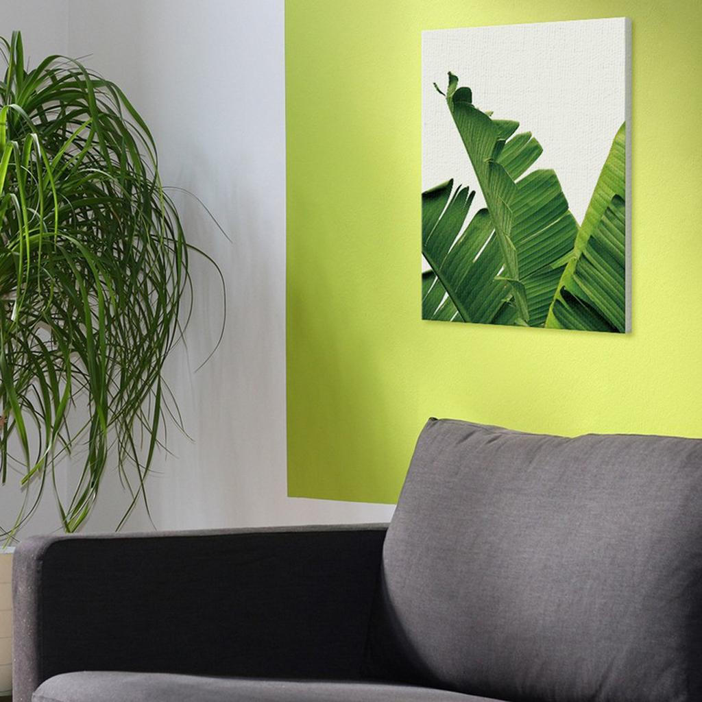 

Tropical Palm Banana Botanical Prints Canvas Oil Painting Hanging Decor M