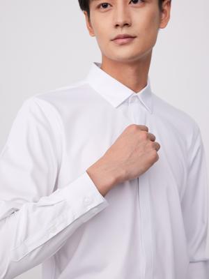 Heren Casual Mode Lange Mouwen Jurkhemd, Verborgen Knoopsluiting aan de Voorkant, Elegant Regular Fit Knopenhemd, Veelzijdig Voor Kantoor en Casual Kleding