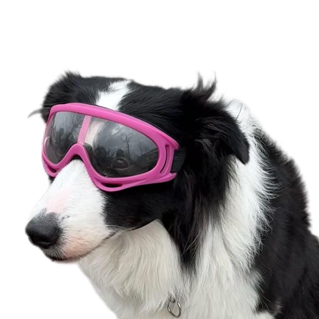 Pet Sunglasses for Dogs: Windproof, Anti-Fall-Off Glasses with Double Straps for Breeds Like Border Collie, Golden Retriever, Corgi, French Bulldog.