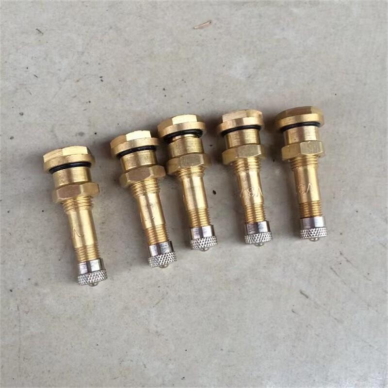 QINGAN EQ2050 Tire Valve Stem & Core
