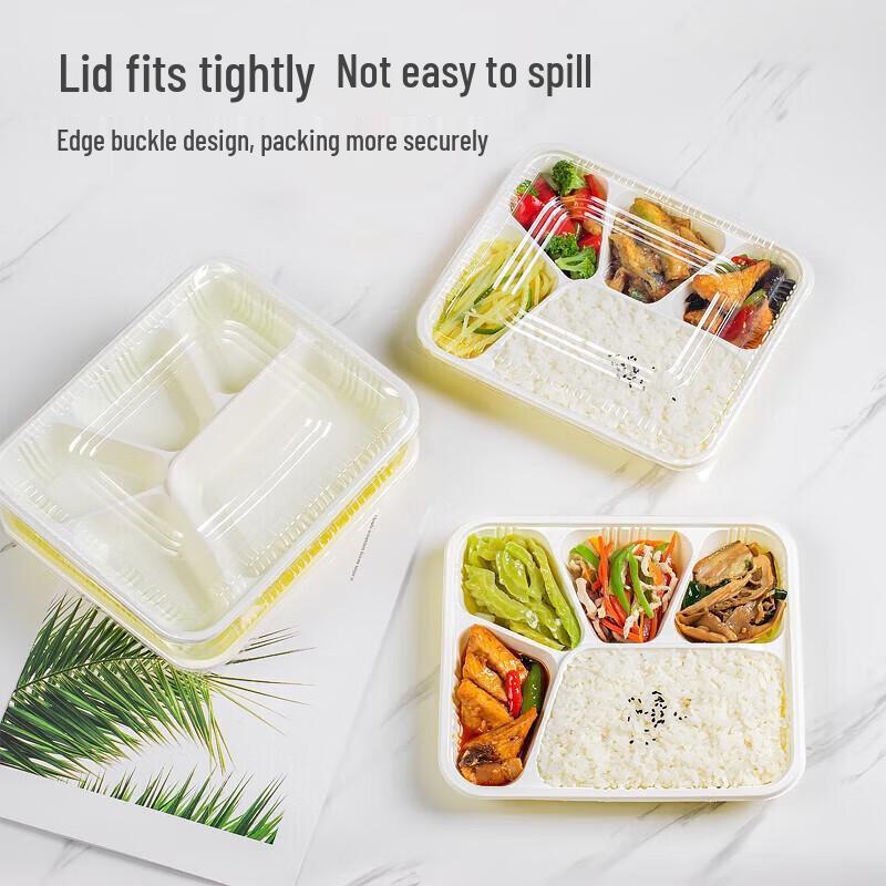 NHZHIW Einweg-Mittagessensboxen mit 5 Fächern