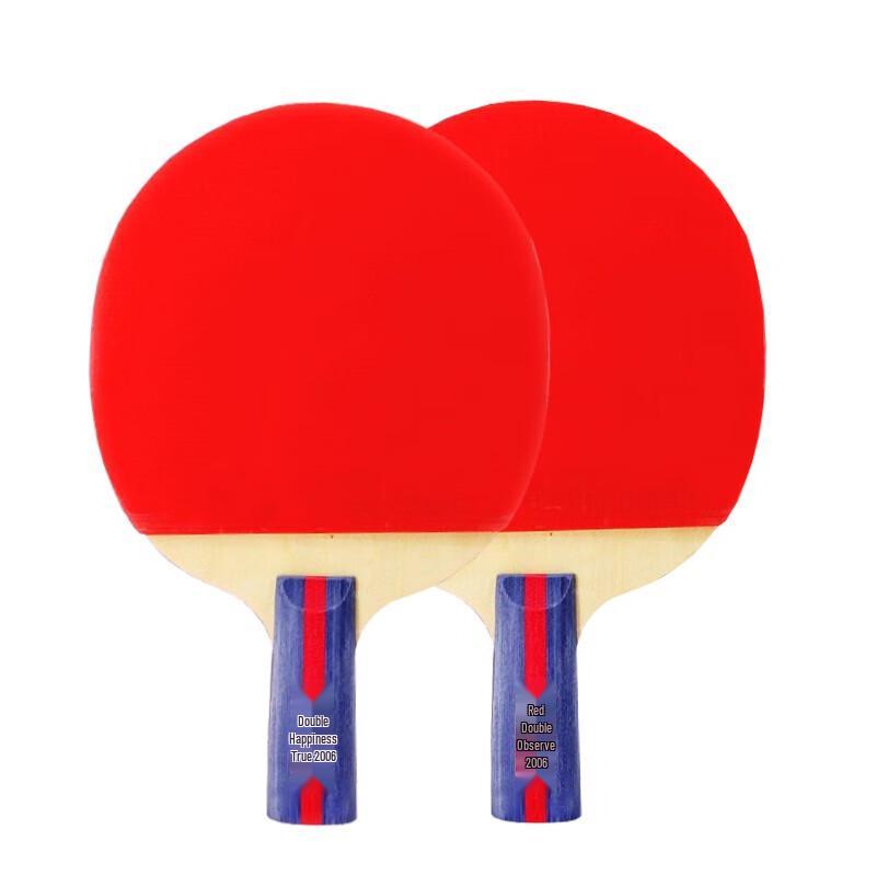 DHS H2006 2-Star Table Tennis Racket Set