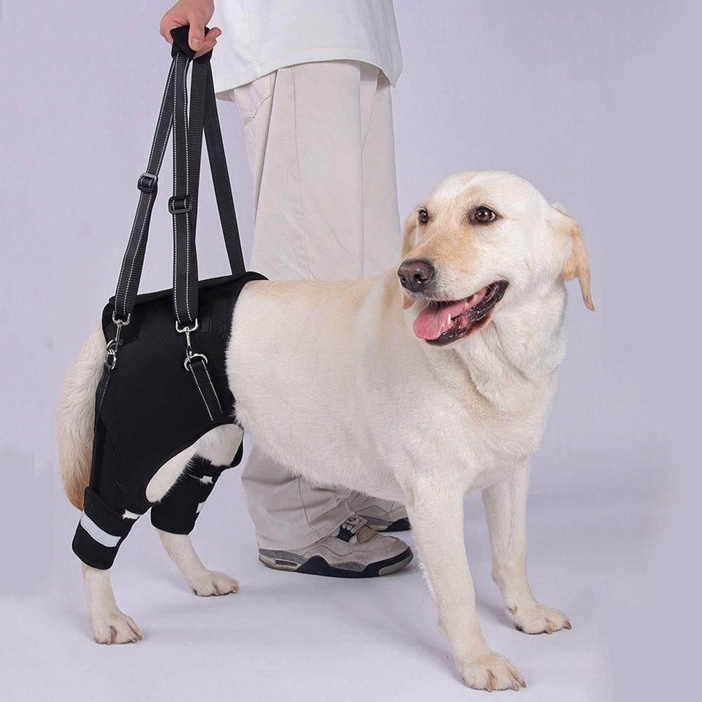 Legs Hip Support Dog Lift Harness Black Adjustable Pet Aid Assist Tool Breathable Reflective Strip Dog Rear Leg Support