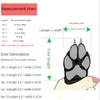 Pet Dog Cat Shoes Dog Shoes Breathable Spring and Summer Cute Mesh Soft-soled Shoes Dog Shoes for Small Dogs