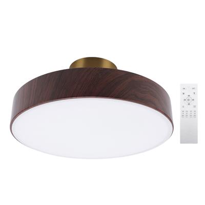 Modern LED Ceiling Light Minimalist Round Ceiling Lamp Fixture with Remote 3 Color Temperature