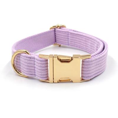 Cani – Collari e guinzagli per cani