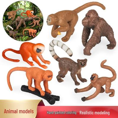 Samling og modeller – Modeller