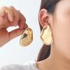 Exaggerated Big-name Alloy Geometric Earrings Women's Simple Fashion Light Luxury High-end INS Earrings