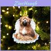 Creative Angel Wing Dog Christmas Decoration Acrylic/organic Glass Cartoon Style