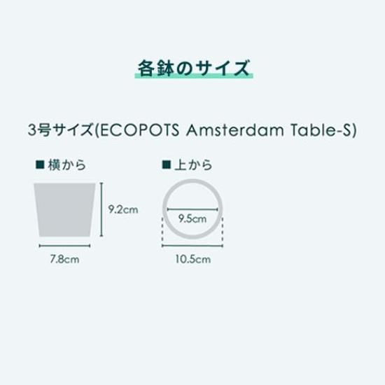 ECOPOTS Amsterdam AND PLANTS Pot (Taupe, Table-S (No. 3) Cover)