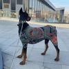 Fashion S-9XL Dog Tattoo Clothes Doberman Pinscher Elastic Pet Tattoo Shirt Anti-mosquito Soft Cat Tattoo Vest Four Seasons
