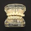 Eco-friendly Copper Teeth Grillz Caps Anti Slip Teeth Jewelry Teeth Grillz Top Bottom Set  Cosplay