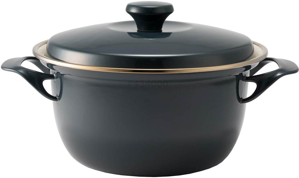 Fuji Enamel Casserole IH Cocotte with EX Series CH Dish, Enamel, Compatible, Lid, 20cm, Payne s Gray, EX-20W