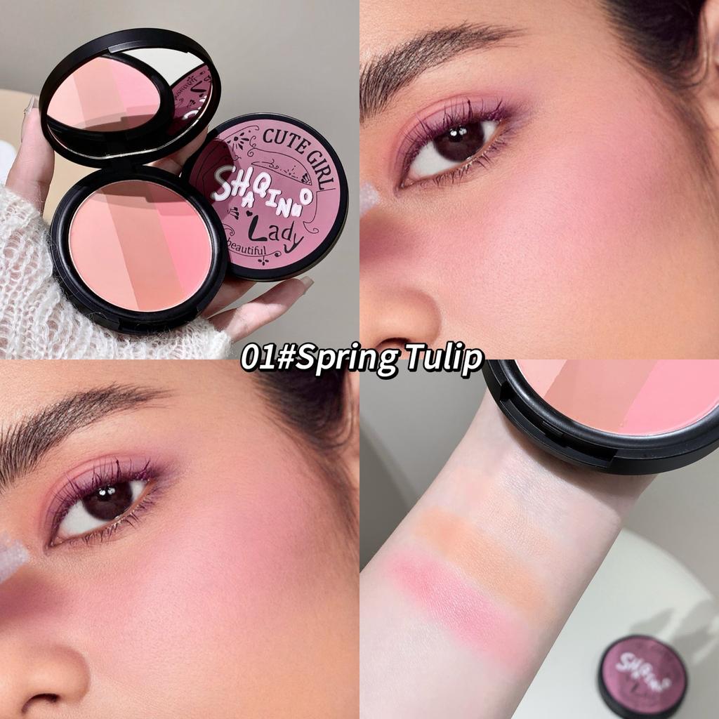Three-color Blush SHAQINUO Matte Pearlescent Contouring and Long-lasting Powder Delicate Three-Color Rouge