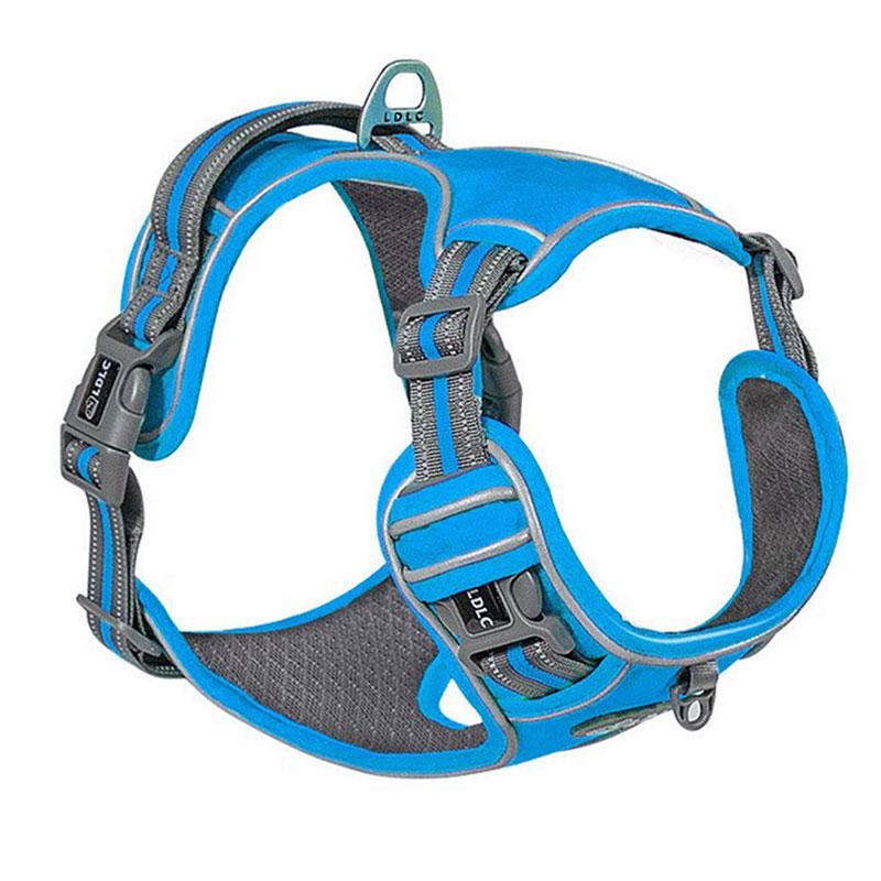 dog climbing harness