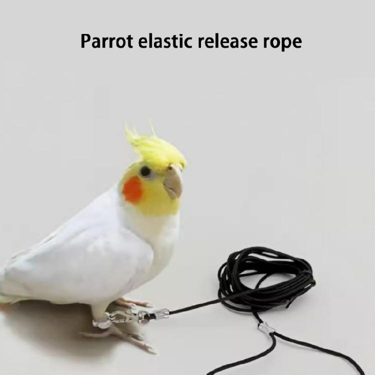 Outdoor Bird Safety Tether For Parrots Training Rope 3Meter Long Adjustable Pet Bird Leash with Removable Ankle Rings