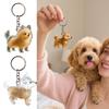 1pcs Dog Hair Key Chain Pet Hair Keychain Keepsake Storage Container Pendant Box For Wallet Purse Girls Men Women Boys