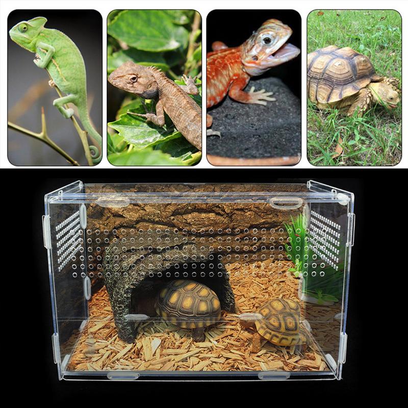 Cutie de reproducere a reptilelor Terariu acrilic Cutie de hrănire transparentă pentru animale Reptile Animale de companie Insectă păianjen șopârlă broască greier țestoasă