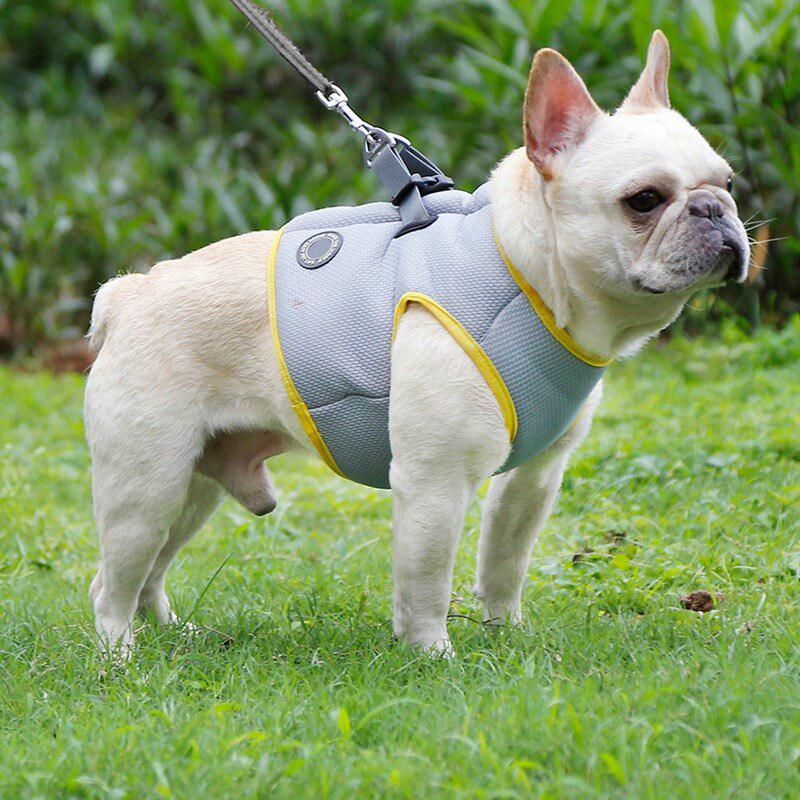 cooling harness