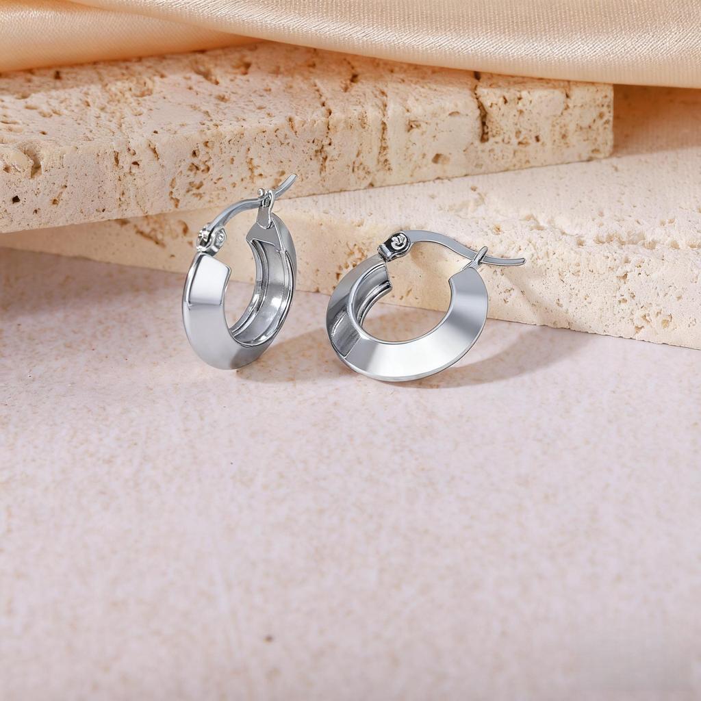 2025 Luxury Titanium Steel Earrings - No Fade, High-End Feel