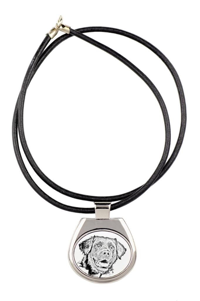 Stabyhoun, Stabijhoun, Fryske Stabij – Dog necklace, personalized pendant with a photo | Art-Dog
