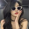 Fashion Cat Eye Sunglasses for Women Trendy Candy Color Sun Shades Glasses Ins  Designer UV400 Protection Eyewear