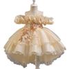 Kids Girls Princess Style Puffy Tulle Wedding Formal Party Dress
