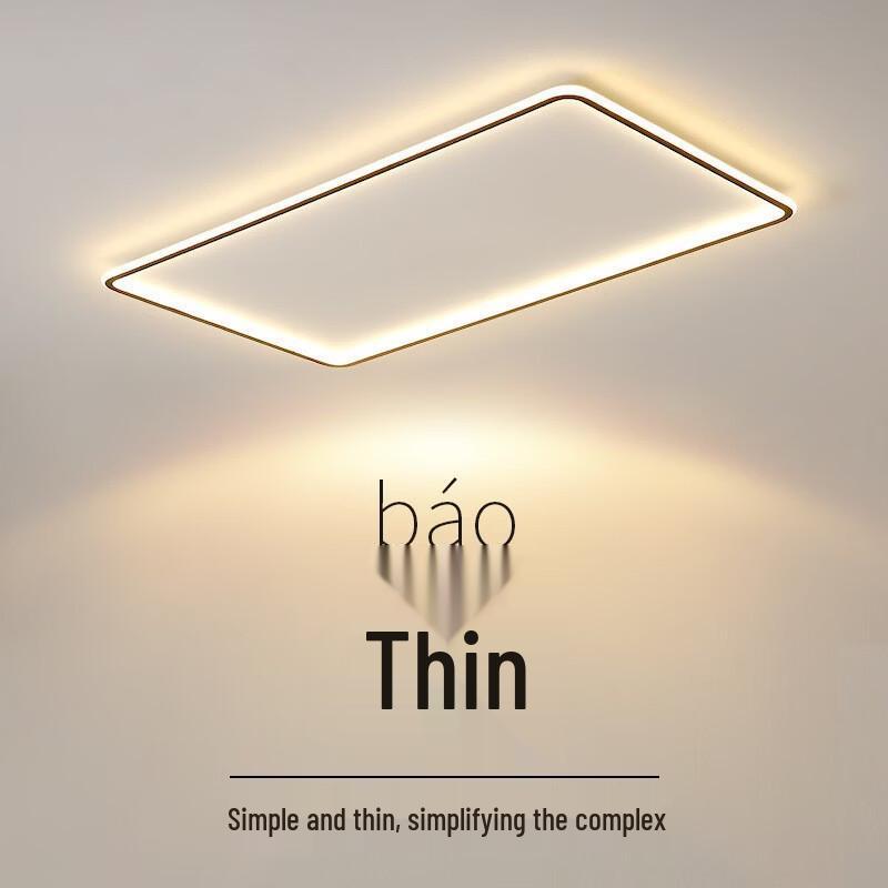 OEING Modern LED Ceiling Lamp