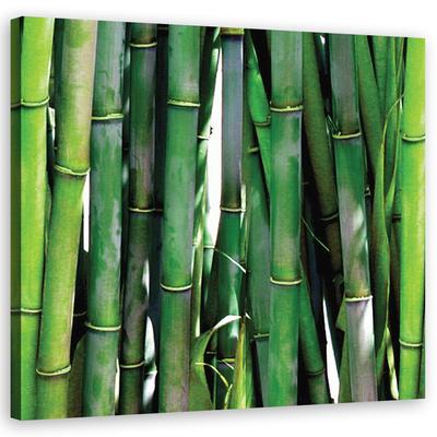 Woondecoratie – Schilderijen en posters