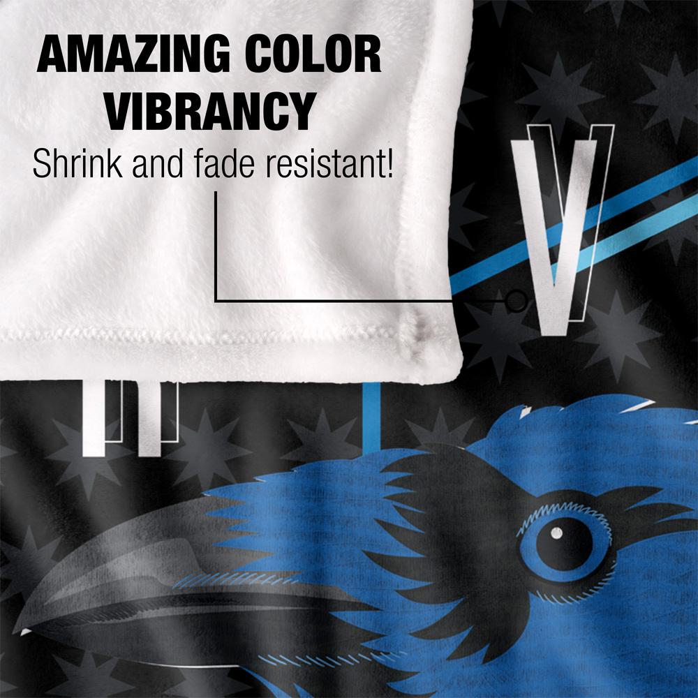 HARRY POTTER Ravenclaw Raven Blanket