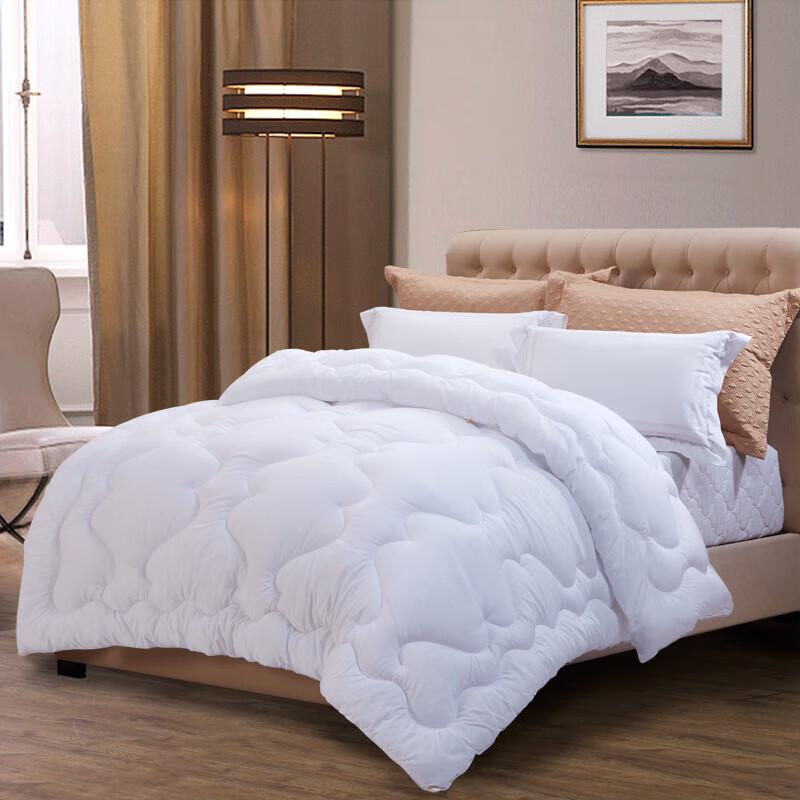 

Fuanna Yixiang Warm Core 2nd Gen All-Season Quilt