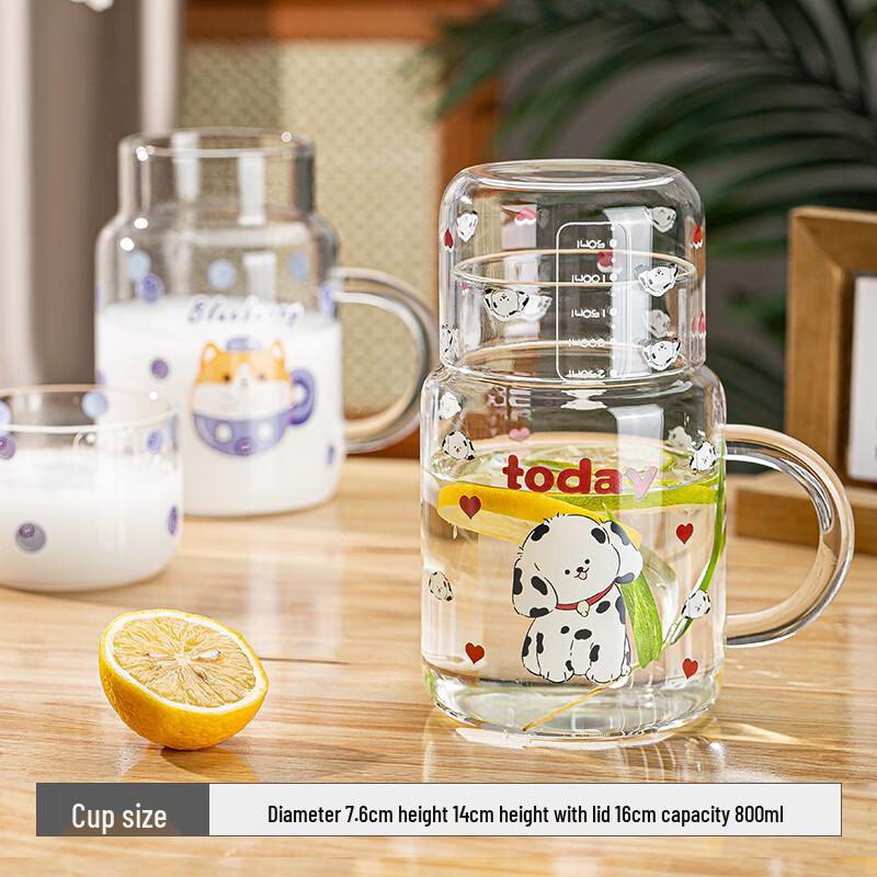 High Borosilicate Glass Cold Water Carafe with Handle