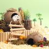 Hamster House Bite-resistant Natural Small Pet Coconut Cages Guinea-pig Hamster Hideout House Toy Wooden House Pet Supplies Natural Coconut Hut