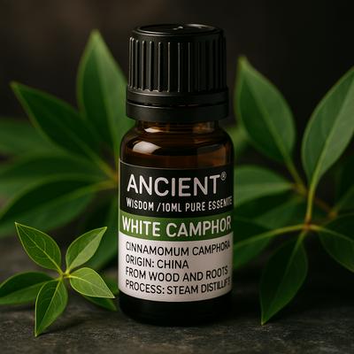 White Camphor Essential Oil 10 Ml
