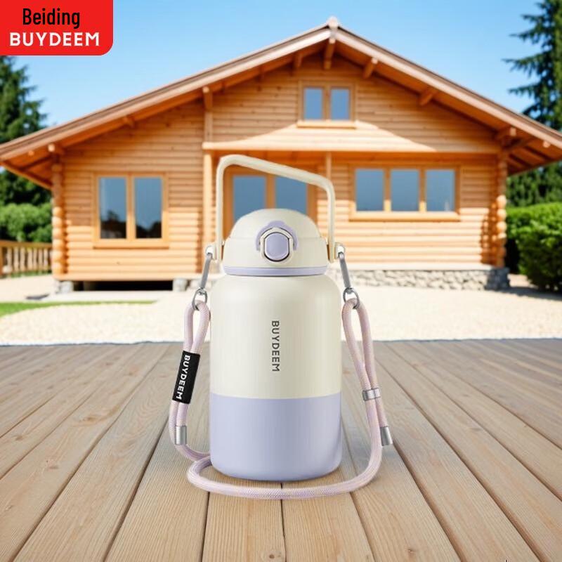 Buydeem 1L Portable Insulated Water Bottle