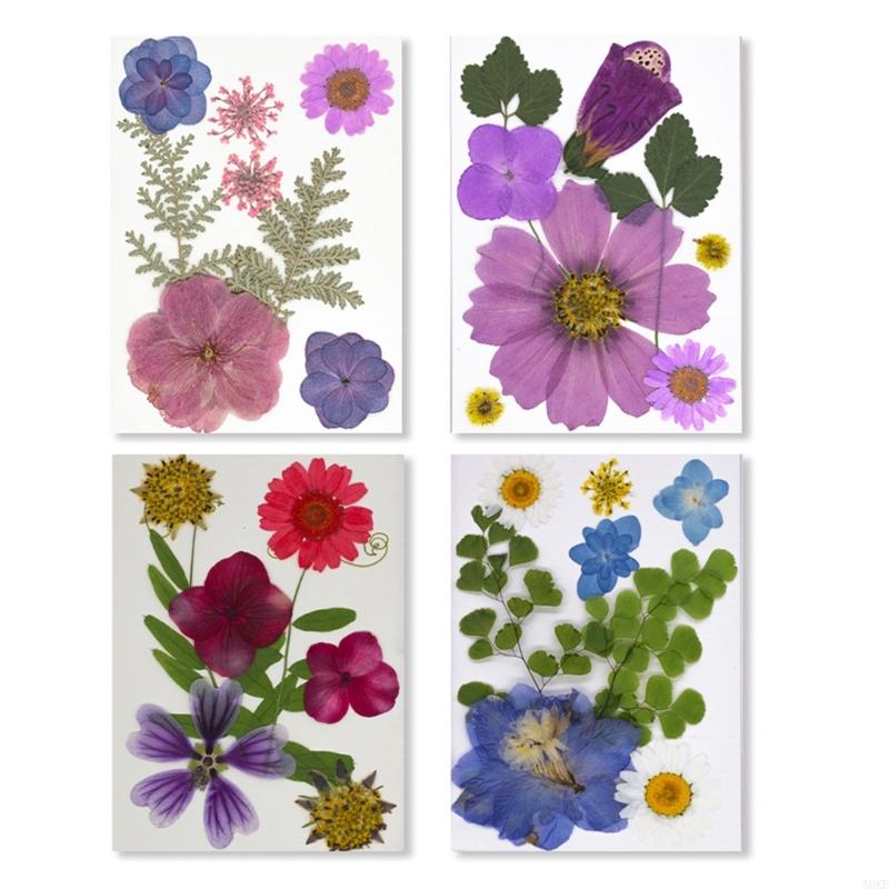 Elegant Natural Pressed Flower 32 Pieces 4 Pack Materials Dried Florals For Resin Art Jewelry Making Projects A0KF