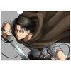 Attack on Titan Clear File J Levi