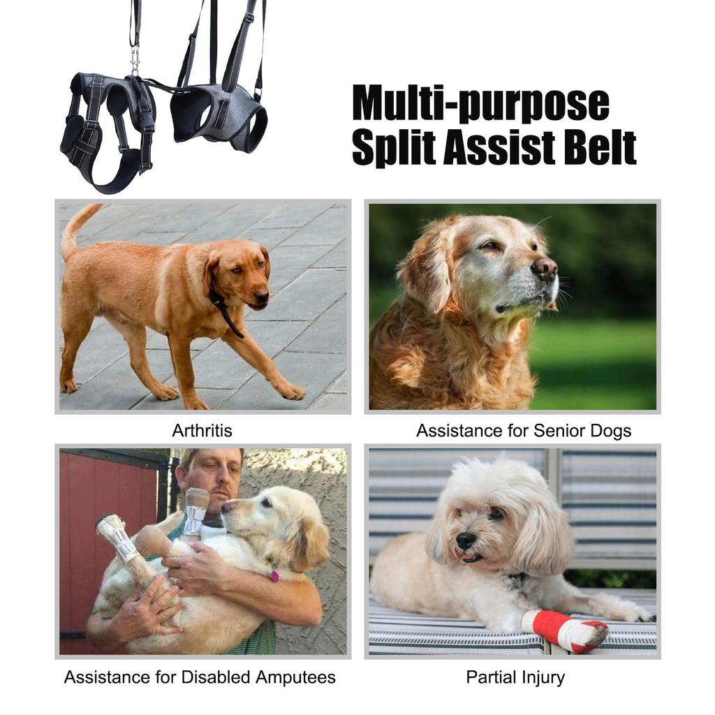 Dog Lift Harness Soft Padded Pet Full Body Support Sling For Old Disabled Joint Injuries Dog Back Leg Hold Carrying Aid