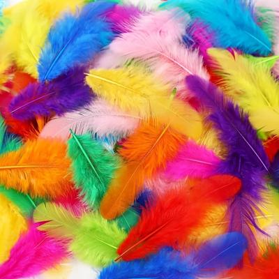 100-400PCS DIY Multicolor Craft Feathers for Wedding Party Decoration Dreamcatcher Making Materials Home Décor Accessories