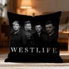 Popular W-WWestlife Cushion Cover Soft Washable Pillow Case Multi-Scene for Couch Bed Travel Office Use