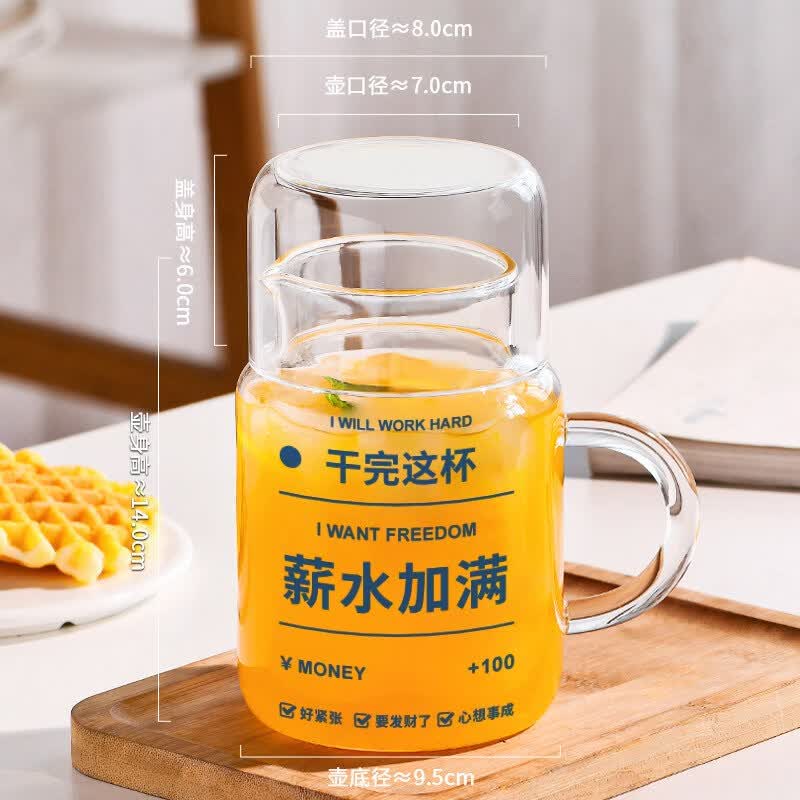 Youluo 800ml High Borosilicate Glass Water Bottle with Straw